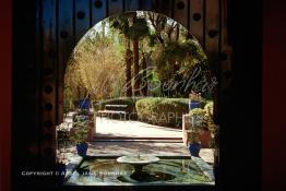 Image du Maroc Professionnelle de  Le Jardin Majorelle une pure merveille crée par le peintre français Jacques Majorelle, qui a eu le coup de foudre pour Marrakech. Yves Saint Laurent et Pierre Bergé font l’acquisition de ce havre de paix durant les années quatre-vingt où Yves Saint Laurent dessina plusieurs pièces. son voeux était de faire de ce parc une œuvre d’art vivante. On y découvre des plantes provenant des cinq continents, yuccas d’Océanie, lotus d’Asie, cactus d’Amérique, palmiers d’Afrique et cyprès d’Europe …, à Marrakech le Lundi 18 Août 1997. ((Photo / Abdeljalil Bounhar) 